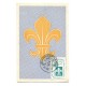 BOY SCOUTS BRASIL 1965 TARJETA POSTAL MAXIMUN SCOUT